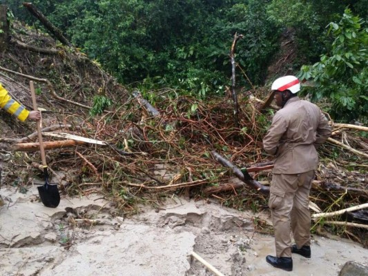 Tres personas muertas y dos desaparecidas deja alud de tierra en zona montañosa de Cuyamel, Omoa