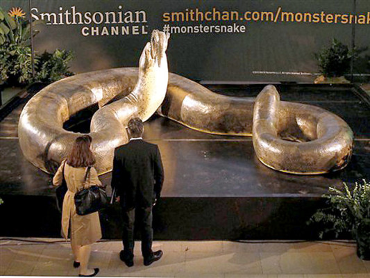 Exhiben réplica de enorme víbora hallada en Colombia