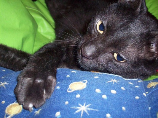 ¿Deberían o no dormir juntitos?