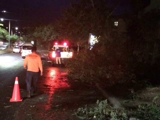 Los daños que causaron las lluvias y fuertes vientos en la capital de Honduras