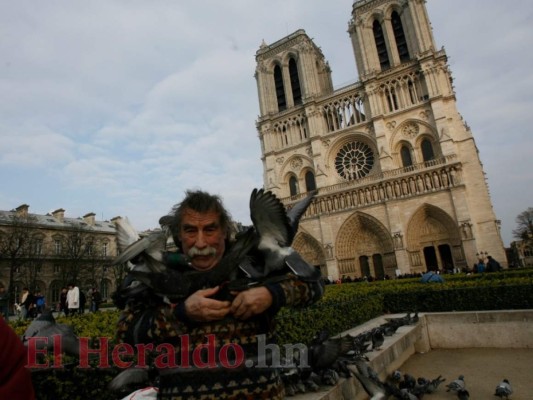 FOTOS: La belleza de la catedral de Notre Dame captada por el lente de EL HERALDO