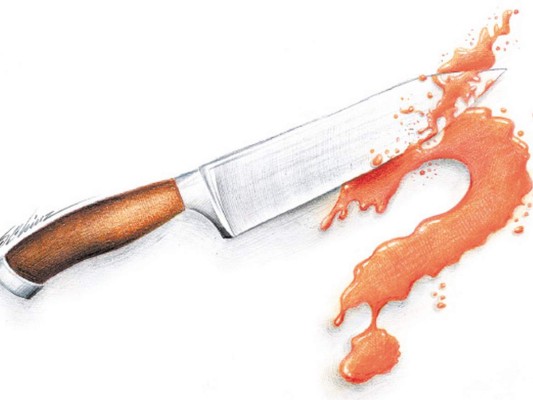 Selección de Grandes Crímenes: El hijo del gallero (segunda parte)