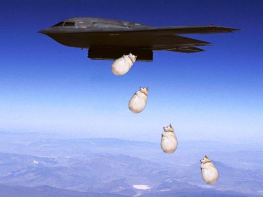 Ni los perros se salvan de la creatividad de las personas con el Photoshop