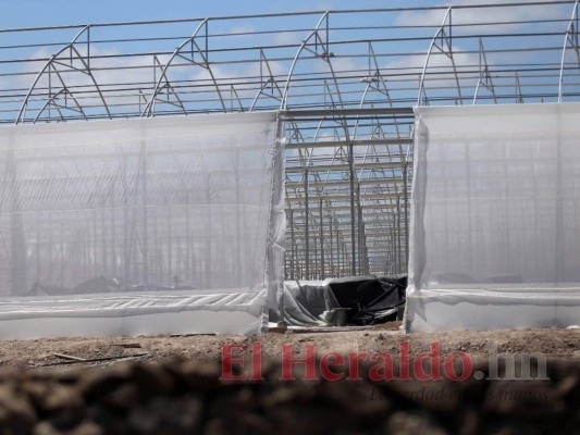 Próspera, Morazán, Orquídea o Agroalpha ¿Qué Zede tomará más territorio de Honduras?