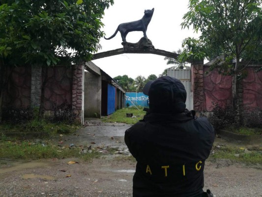 Traspasan a la OABI 17 bienes de 'Los Peludos”, socios de hermanos Rivera Maradiaga