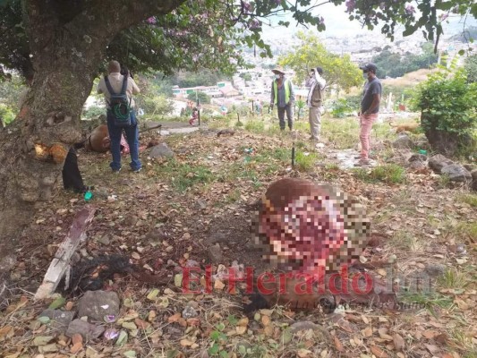 ¡Dantesco! Imágenes del destazadero clandestino hallado en cementerio de la capital