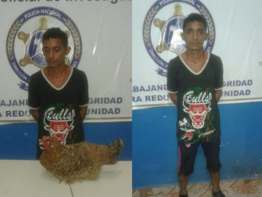 Capturan a joven que pretendía hurtar una gallina en Choluteca