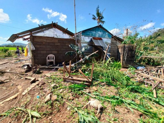 Daños causados por el tifón Phanfone en la localidad de Batad, en el centro de Filipinas, el jueves 26 de diciembre de 2019.