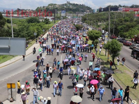 FOTOS: Las masivas protestas convocadas por médicos y maestros pese a la derogación de los PCM
