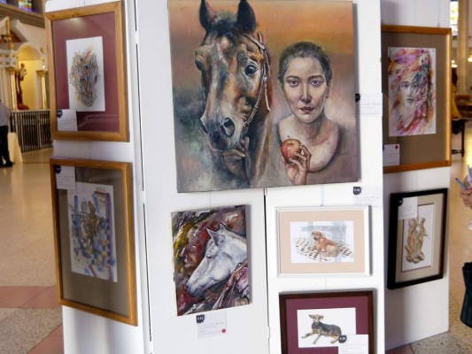 Exposición de pinturas para recaudar fondos