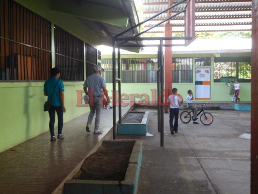 Escuelas Amigables culminan primera fase de las actividades