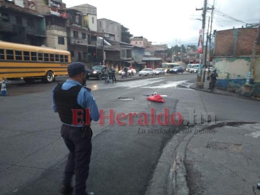 Los paquetes con restos de cerdo dispersos en la capital: ¿Broma de mal gusto o mensaje oculto? (FOTOS)