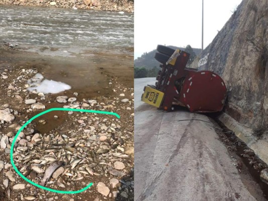 FOTOS: El impacto causado por el derrame de un ácido en el río Chamelecón