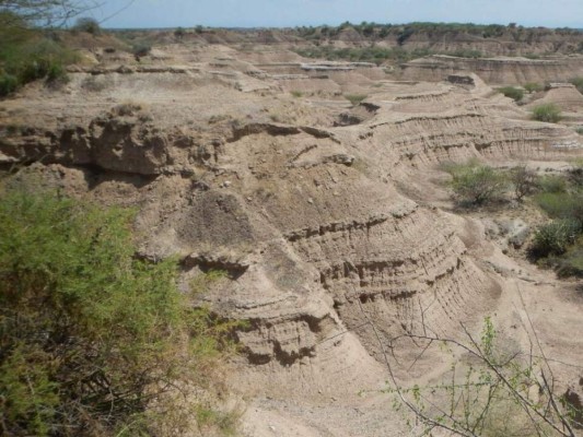 Fósiles etíopes de Homo sapiens 35,000 años más antiguos de lo que se creía  