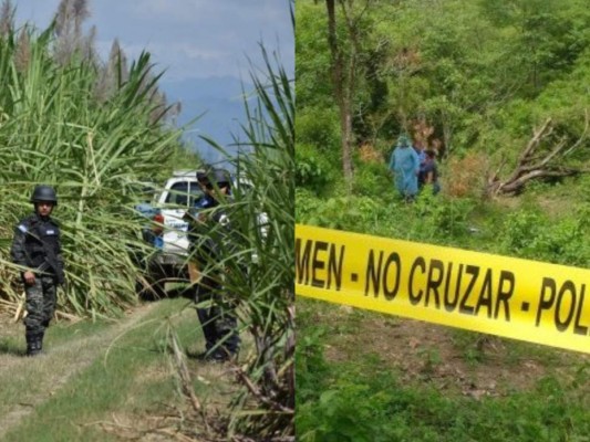 Hallan dos cadáveres en cañeras de la colonia Suyapa de Chamelecón