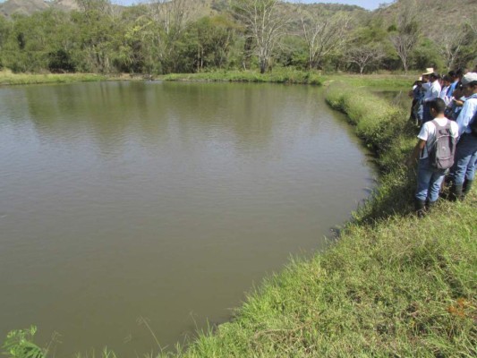 Destinan 70 millones de lempiras para construir tercer etapa de cosechas de agua