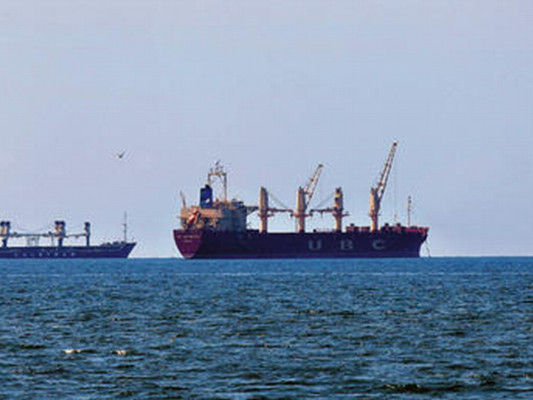 'Arrozazo II” podría ingresar a Honduras sin pagar impuestos