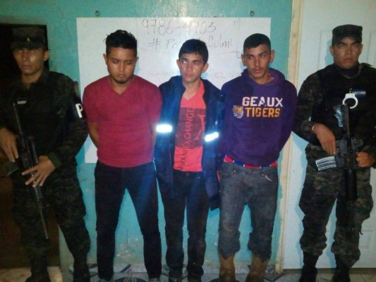 Honduras: Detienen a tres hombres sospechosos de robar y descuartizar ganado en Olancho