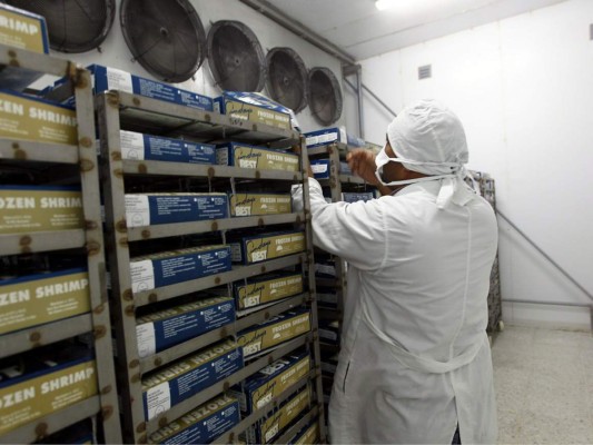 Camaroneros de Honduras pierden casi 420 millones de lempiras este año