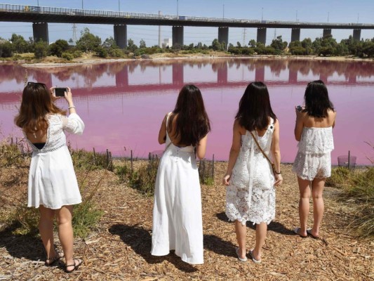 FOTOS: El extraño lago rosado que se ha convertido en un atractivo turístico en Australia