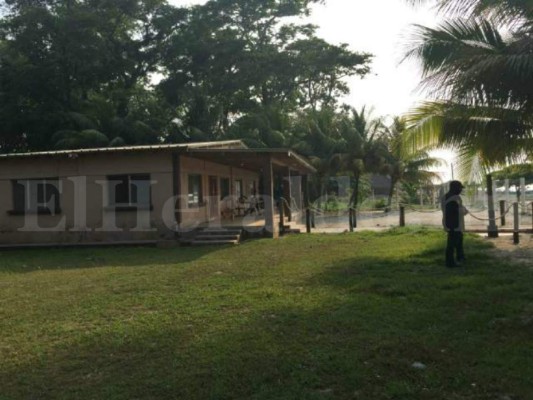 Honduras: Incautan bienes y finca a yerno de Arnulfo Valle Valle en Operación Estigia en Morazán, Yoro