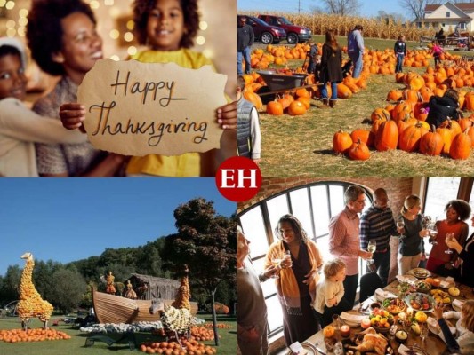 El día de Acción de Gracias o Thanksgiving se celebra el último jueves de noviembre de cada año, una fecha especial para Estados Unidos, donde en cada hogar se realiza una cena familiar para honrar la cosecha. Esta fecha tiene raíces históricas que han sido modificadas con el paso del tiempo, pero en esta galería te contaremos más aspectos para entender la tradición que en los últimos años ha abarcado también otros países. Foto: Pixabay