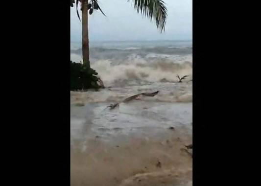Una captura tomada de imágenes publicadas por la plataforma ESN el 15 de enero de 2022 muestra grandes olas golpeando la costa de la ciudad de Suva en Fiji después de que una erupción volcánica submarina provocó una nueva advertencia de tsunami en Tonga. Foto: AFP
