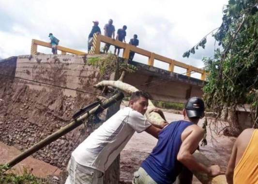El panorama es desolador y preocupante, pero el esfuerzo conjunto es sin duda la ruta para salir adelante.
