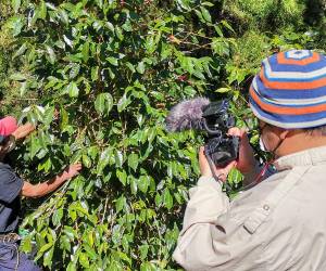 El documental pretende contar situaciones cotidianas a la que los miembros de la cadena de producción de café se enfrentan.