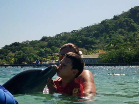 Delfines, una saludable compañía