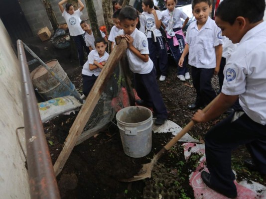 Gobierno escolar tomó las riendas de Escuelas Amigables