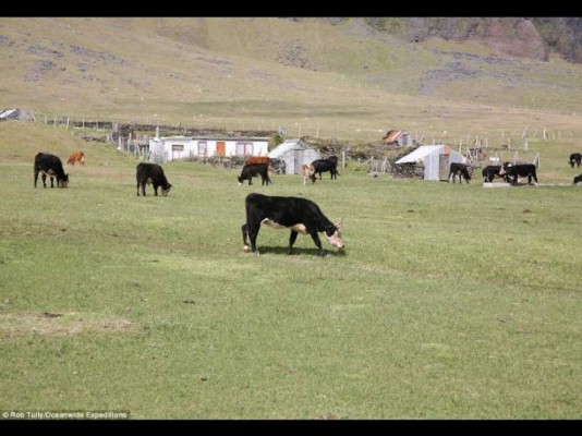 ¿Cómo viven en la isla más abandonada del mundo?