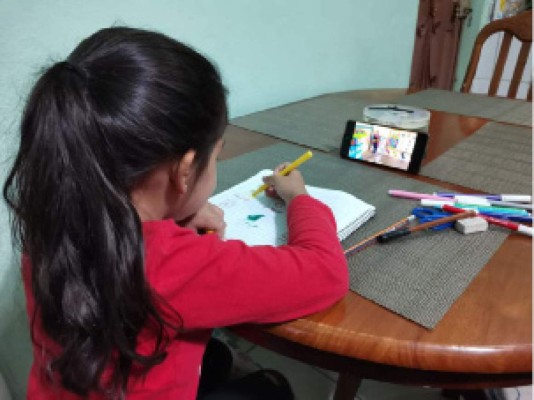 Gráficos: Preocupante caída de matrícula escolar en grados superiores