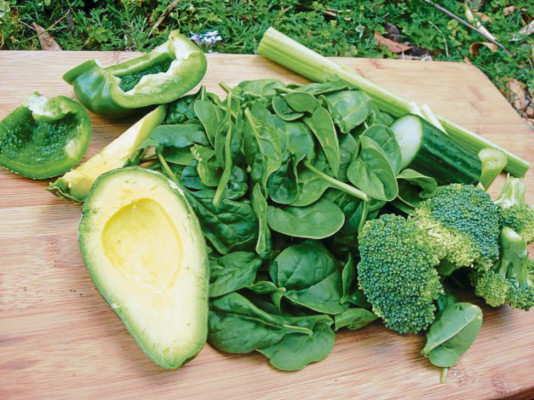 Alimentación balanceada