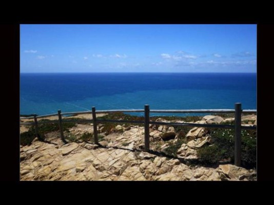 Las 10 selfies tomadas segundos antes de morir