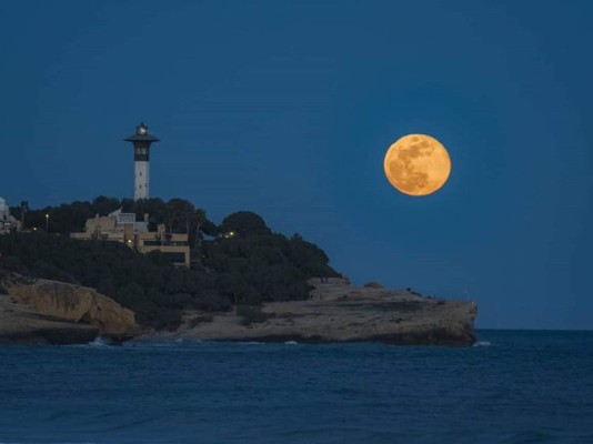 Un poco de humor este fin de semana