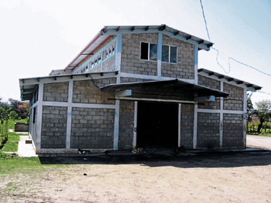 Piden frenar incontrolable destace de vacas preñadas