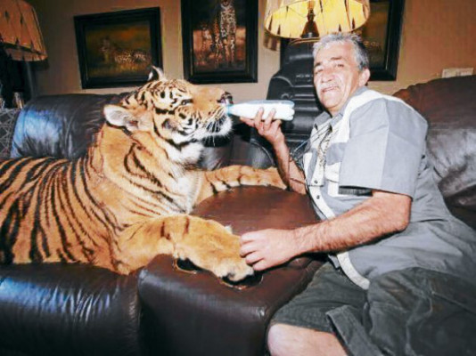 Las nuevas mascotas de adultos y niños