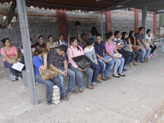 Tarifa de taxis colectivos vuelve a L 13 a partir del lunes