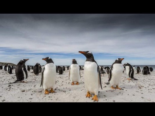 Impresionantes imágenes del concurso de viajeros de National Geographic