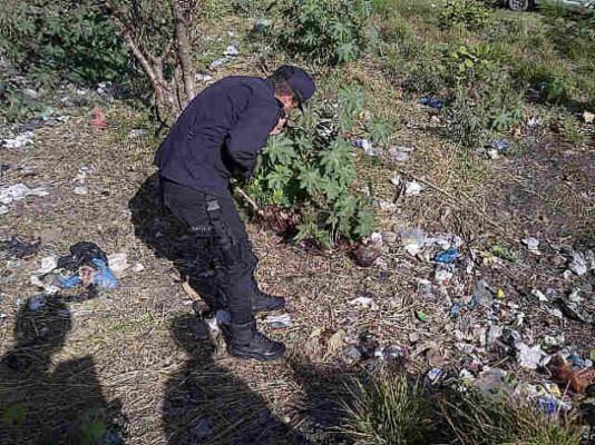 Hallan cadáver calcinado en cementerio