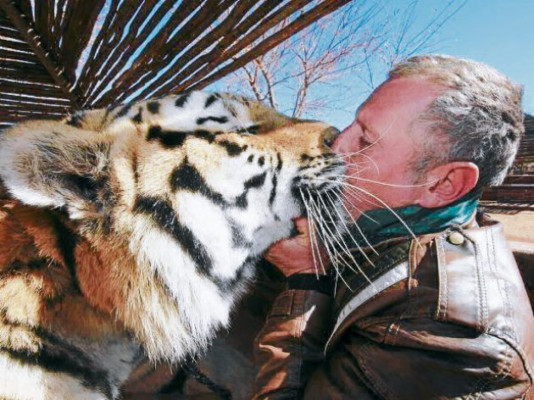 Las nuevas mascotas de adultos y niños