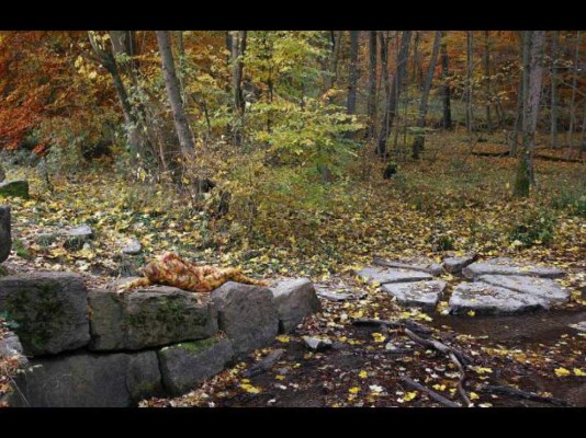 ¿Te atreves al reto visual?