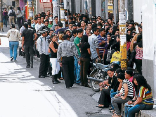 Miles de jóvenes hondureños compiten por empleo temporal