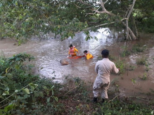 Atado de pies y manos rescatan cuerpo de menor en Olancho