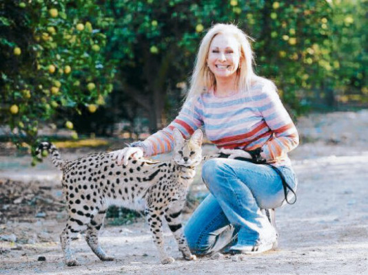 Las nuevas mascotas de adultos y niños