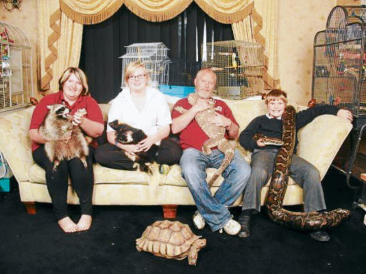 Las nuevas mascotas de adultos y niños