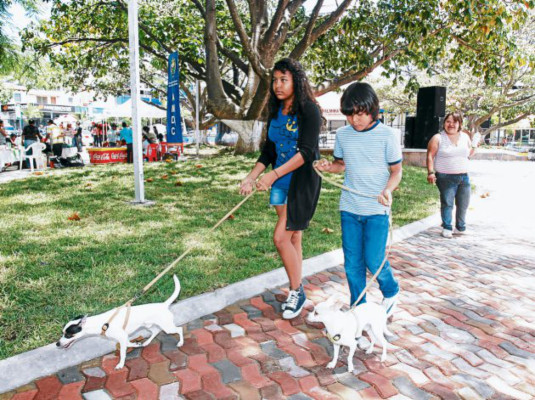 El viejo Redondel de los Artesanos volvió a la vida