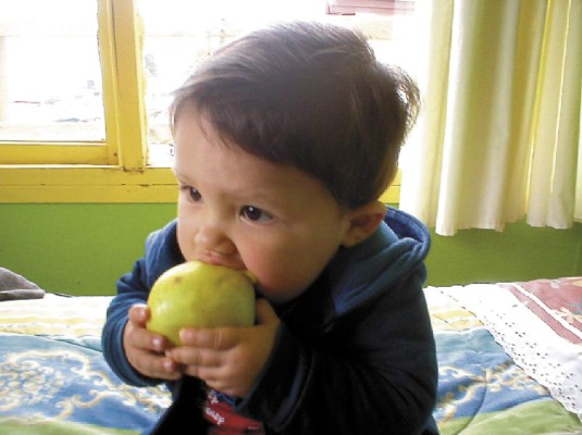 Alergias producidas por alimentos