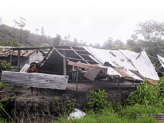 Potentes vientos derriban árboles y techos en Potrerillos